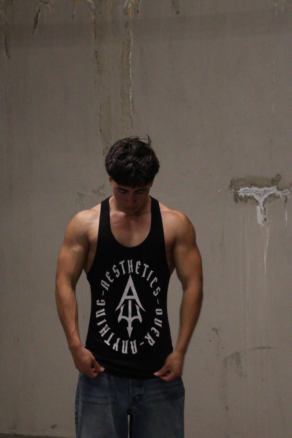 Aesthetics Over Anything Stringer